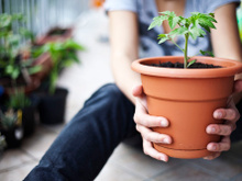 5 trucs dingues à faire avec une simple peau de banane