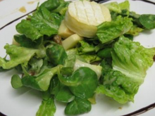 Salade du berger endormi dans un verger