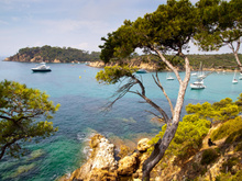Les 8 spécialités à absolument déguster lors d'un séjour dans le Var