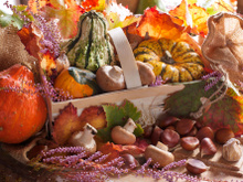 Quels sont les légumes et fruits de saison que l'on peut manger au mois d’octobre ?