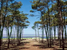 T'es pas vraiment du Sud-Ouest si tu n'as pas 10/10 à ce quiz !