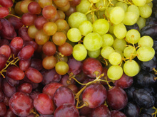 Quelles sont les variétés de raisins à privilégier si vous n’aimez pas les pépins ?