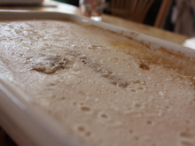 Flan banane noix de coco sans œufs (sans gluten/sans lait/sans sucre/vegan)