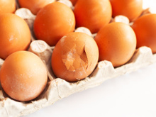 Oeufs : peut-on les manger sans risque même si leur coquille est fêlée ?