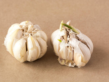 Gousse d’ail qui commence à germer : voici nos meilleures astuces pour la cuisiner !