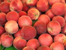 Comment congeler des pêches ou des brugnons pour en profiter toute l’année ?