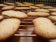 Langues de chat au noisette