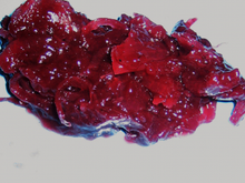 Confiture d'oignons au vin rouge