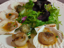 Noix de St-Jacques aux huîtres plates panées, salade au miel et Saké