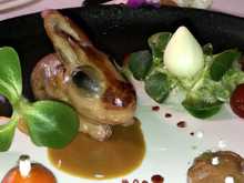 Petit lapin du jardin