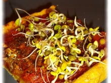 Tarte santé à la sardine