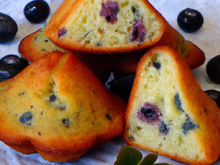 Madeleine Fénichonne aux myrtilles Le Freney d'oisans