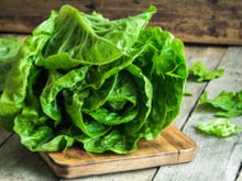 Comment bien conserver la salade verte ?