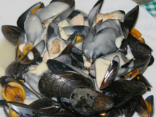 Moules au maroilles faciles