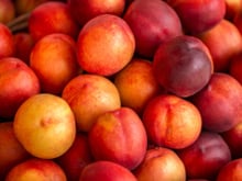 Voici pourquoi il est plus judicieux de choisir des nectarines imparfaites sur les étals !