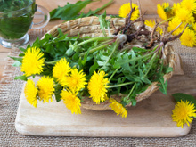 Cueillette sauvage : 3 plantes de printemps très faciles à trouver