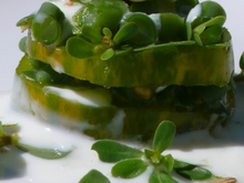 Millefeuille monochrome 'green zebra, haricots verts et pourpier'