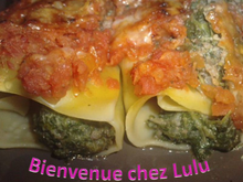 Cannéllonis bœuf- épinards