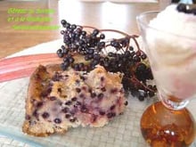 Gâteau sureau et rhubarbe à la ricotta