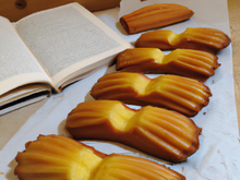 Entremets aux madeleines St Michel