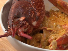 Civet de homard