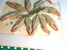 Grenouilles blanches