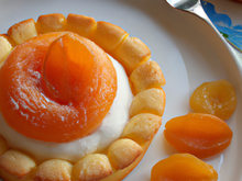 Biscuit moelleux glacé à l'abricot