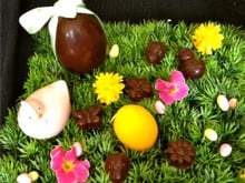 Chocolats noirs fourrés à la ganache infusée verveine et zestes de citrons confits