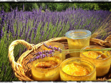 Crème Brûlée aux senteurs de Lavande des Alpes-de-Haute-Provence.