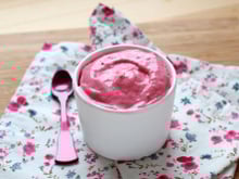 Yaourt glacé minute au Cuisine Companion