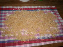 Pâtes fraîches aux œufs