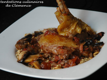 Poulet aux champignons, sauce au vin rouge