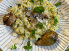 Risotto Carnaroli, escargots, persillade et parmesan