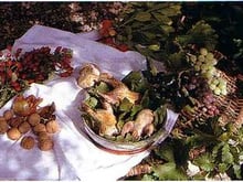 Le perdreau dans la feuille de vigne