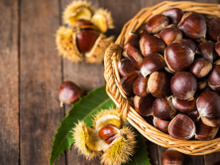 Comment bien congeler les châtaignes pour en profiter toute l’année ?