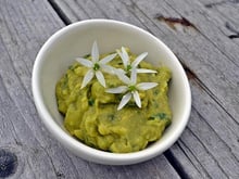 Ail des ours : gressins, guacamole et mini foccacia