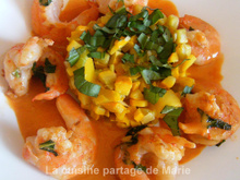 Chaud froid de courgettes et crevettes