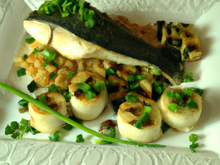 Servir un filet de saint-pierre, les bigorneaux marinés et aux fèves et ciboulette