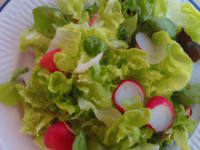 Salade fraîcheur inattendue