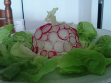 Bavarois de chevre au radis