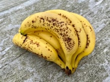Les bananes restent fraîches pendant plusieurs semaines et ne brunissent pas si elles sont stockées ainsi