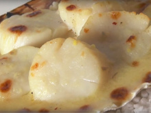 Coquille Saint-Jacques gratinée dans sa coquille