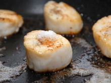 Saint-Jacques sautées