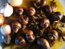 Fricassée d'escargots au cidre et pommes caramélisées