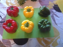 Poivrons farcis et son riz, sauce champignon nature ou au vin rouge