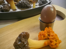 Cuisse de canette aux morilles