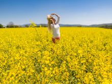 5 bonnes raisons de se mettre à l'huile de Colza