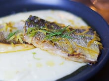 Filet de bar aux agrumes