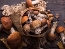 3 idées chipées aux chefs pour cuisiner les cèpes