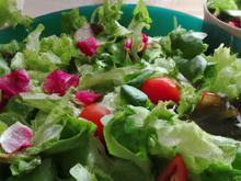 Salade pour les gourmands